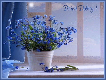 Niezapominajki dzień dobry